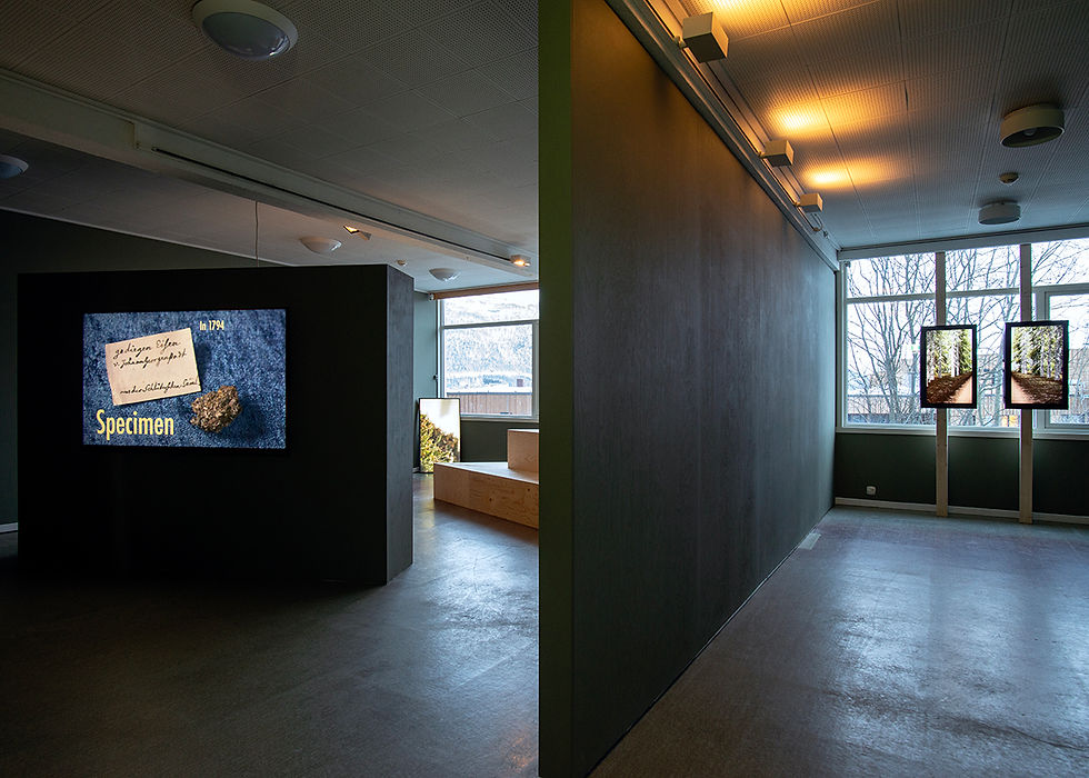 Michelle Deignan,
Installation view of solo exhibition, Alternating Routes, at Tromso Kunstforening, 2024. Photo credit: Mihály Stefanovicz
