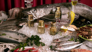 Perfume & Fish