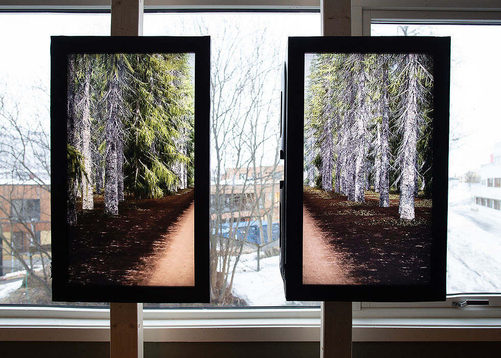 Michelle Deignan, Installation view of ‘Always and forever summer,’ 2 channel HD video, 1 minute loop, in Alternating Routes at Tromso Kunstforening, 2024. Photo credit: Mihály Stefanovicz