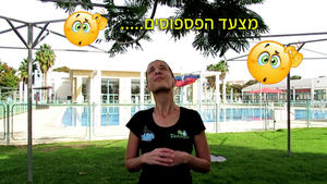 כל האמת מאחורי הסרטים באתר..