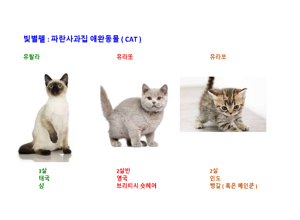 빛별펱 gif.gif
