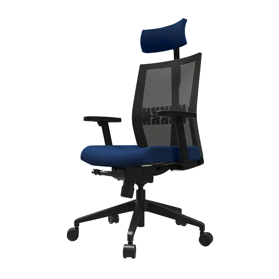 Godrej Aero high back chair