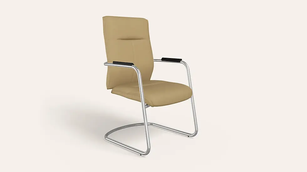 Godrej La Sede Leather Executive Office Visitor Chair
