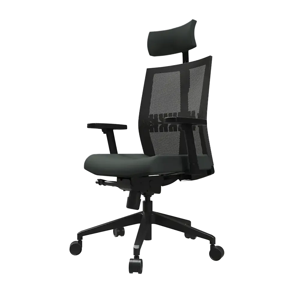 Godrej Aero High Back Chair Earth Stone