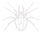 Spider Treatment and Misting Systems | Icon of a spider representing spider-treatment and misting systems