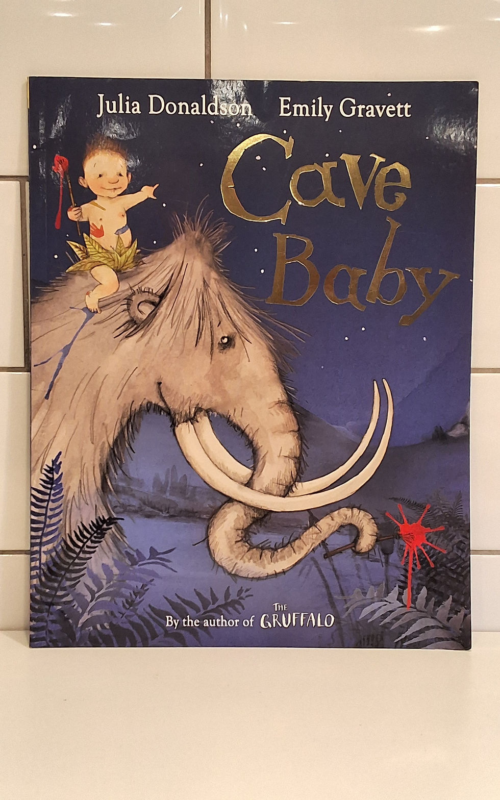 JULIA DONALDSON CAVE BABY BOOK TLCM