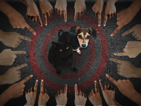 Alulong ng Abuso: Sino nga ba ang malas?