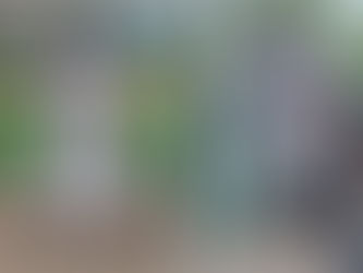 【１年を振り返って】井関 泰来・藤巻 結音