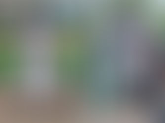 【１年を振り返って】井関 泰来・藤巻 結音