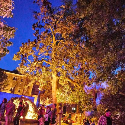 527670072_1272610884450771_8686200167280201647_n