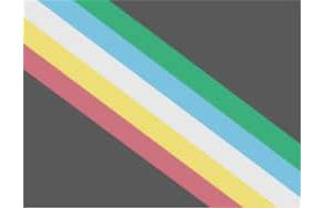 Disability Pride Month