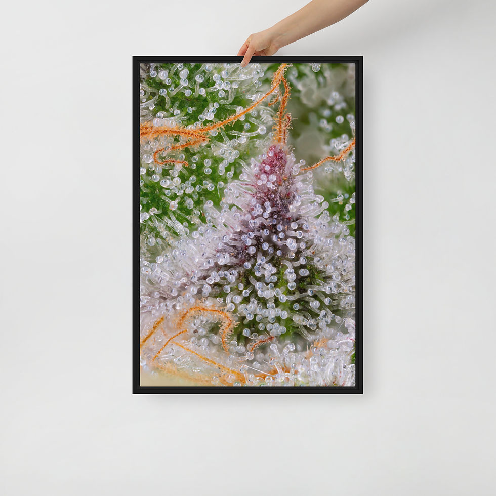 Thumbnail: Grease Bucket Framed Canvas