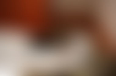 Photographing kittens and other pet portraits - part one