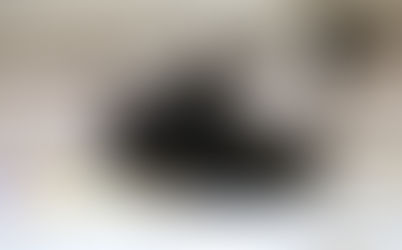 Photographing the foster kittens