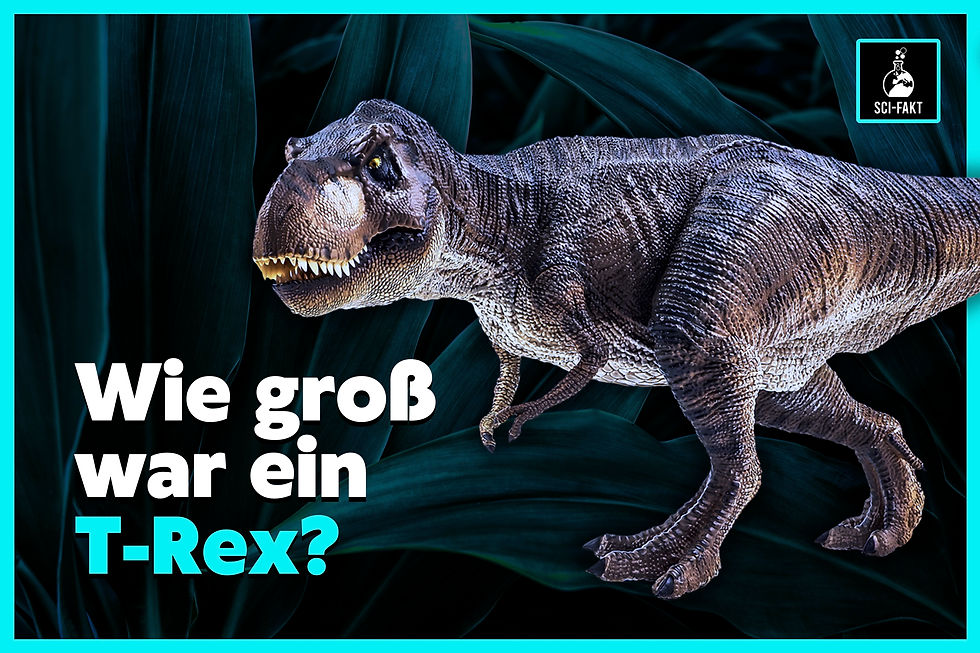 T-Rex, Größe, Tyrannosaurus, wie groß