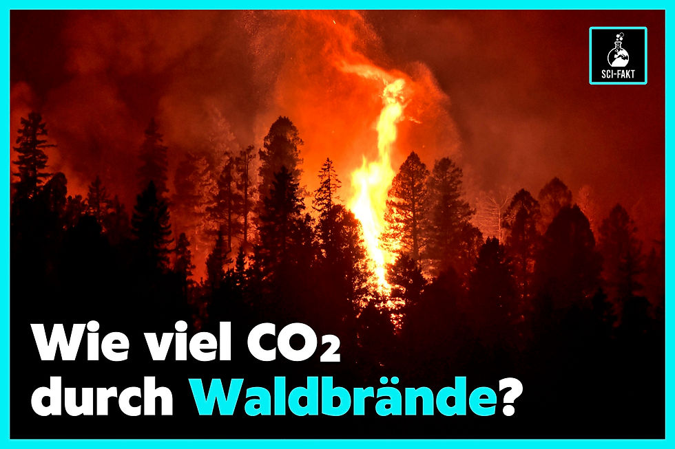 Wie viel CO2 durch Waldbrände, Kohlendioxid, Klimawandel