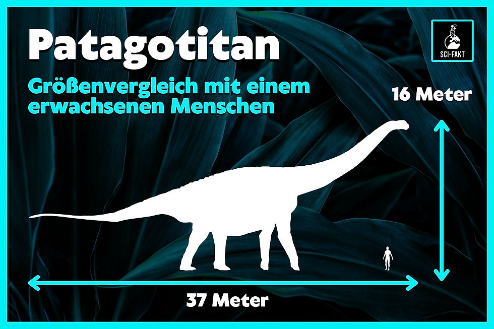 Patagotitan, Größe