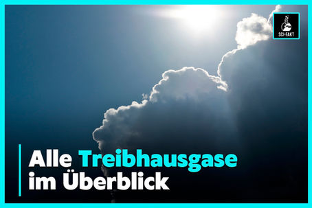 Klima: Alle Treibhausgase im Überblick | Liste & Beschreibung