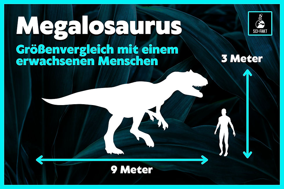 Megalosaurus, Größe, wie groß, Mensch, Vergleich