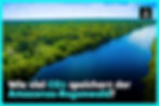 Wie viel CO₂ speichert der Amazonas-Regenwald, Klima, Kohlenstoff