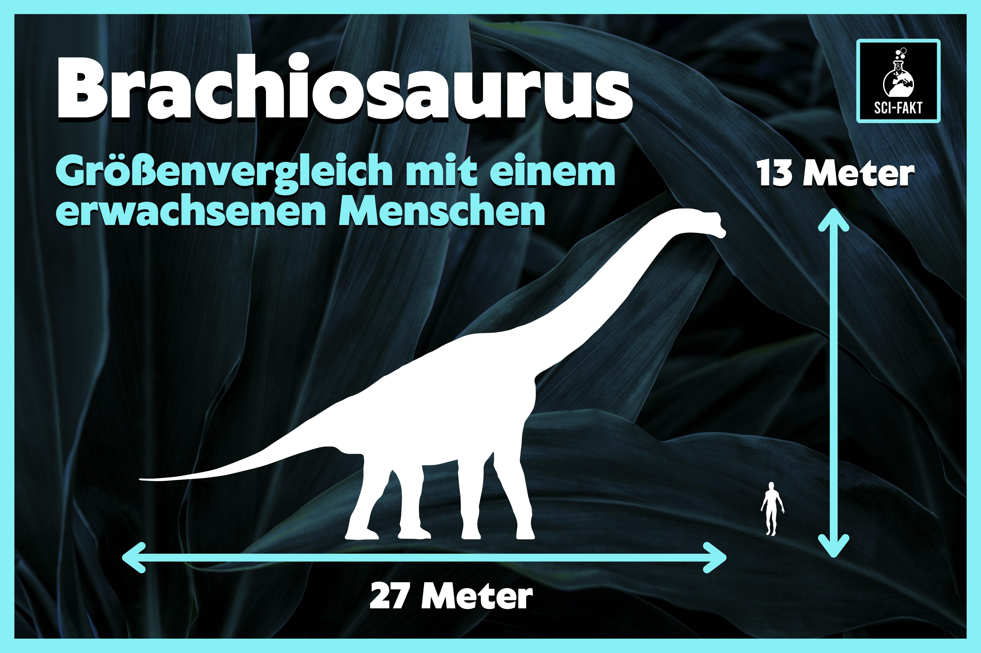 Welcher Dinosaurier Hat 500 Zähne Die 10 größten Dinosaurier der Welt | Ein Überblick