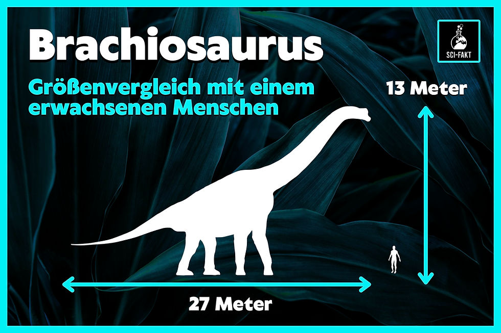 Brachiosaurus, Größe