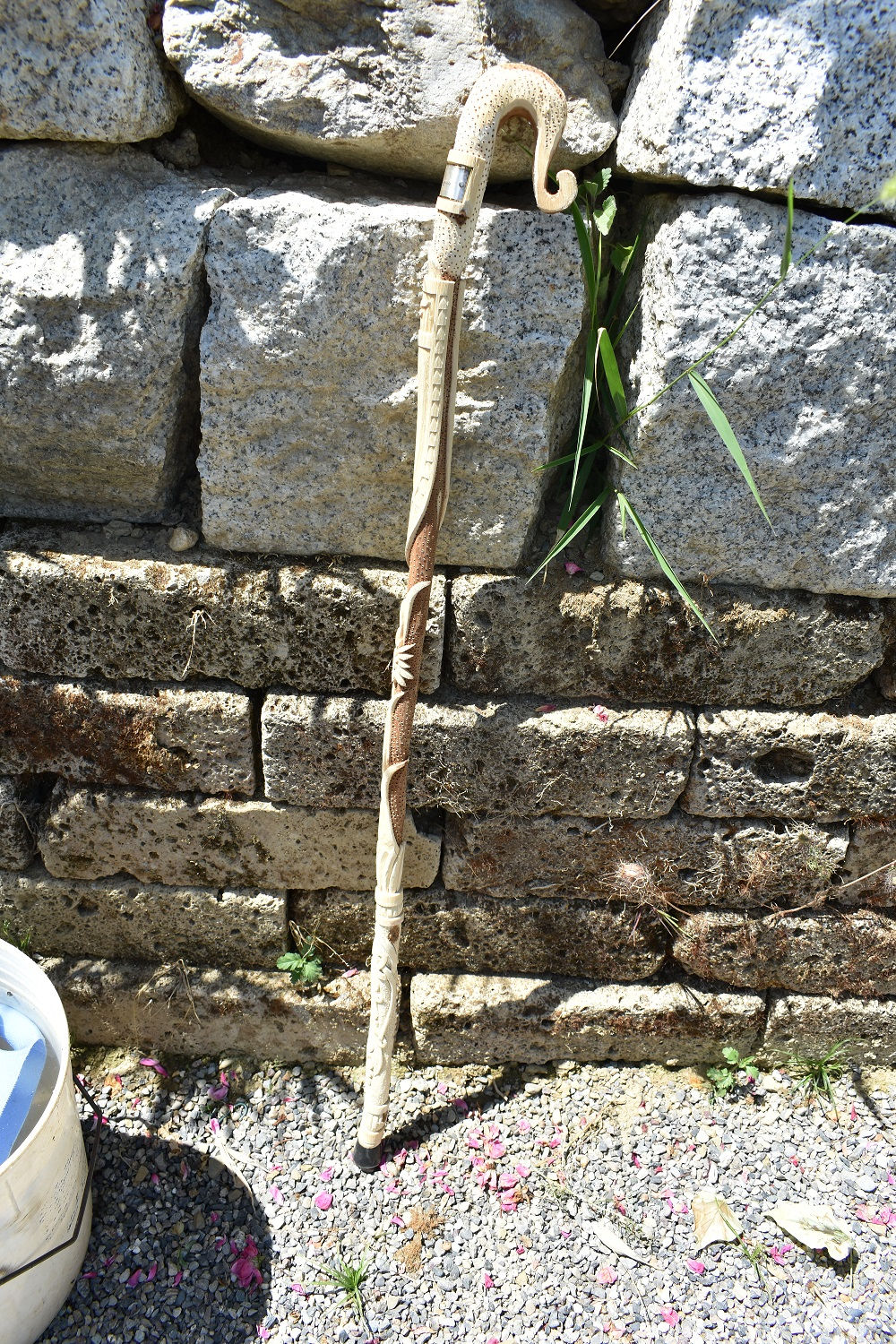 Bastone in legno di maggiociondolo conscritta "Berghem"