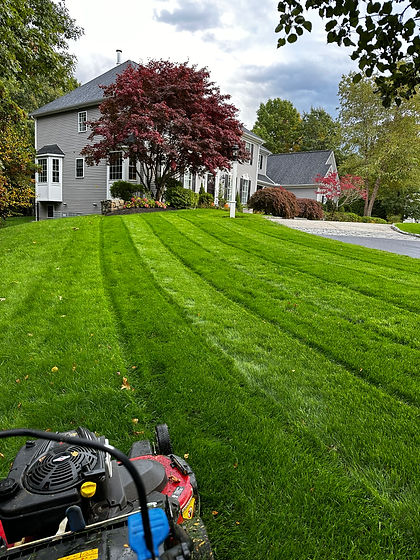 Fertilizer Company