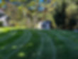 IMG_0153.jpeg