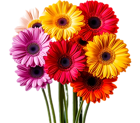 d77a0ff6-c875-4eb0-9256-7b4ca774412c_edi