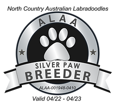 North Country Silver Paw 2022.png