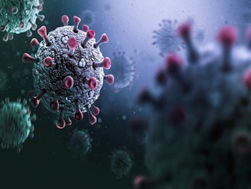 Professor Leo Poon appointed Co-Editor in-Chief of Virology Journal