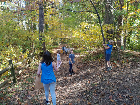 It's all about the leaves (Sustainability, Nov. 8-12)