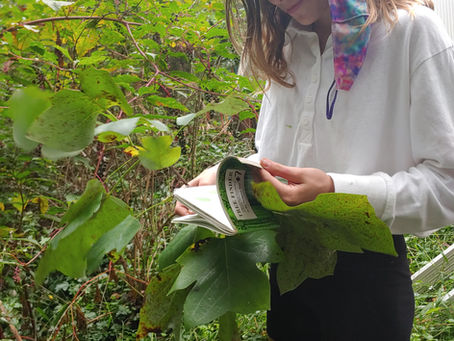 Ready to Grow (Sustainability, 10/4-8)