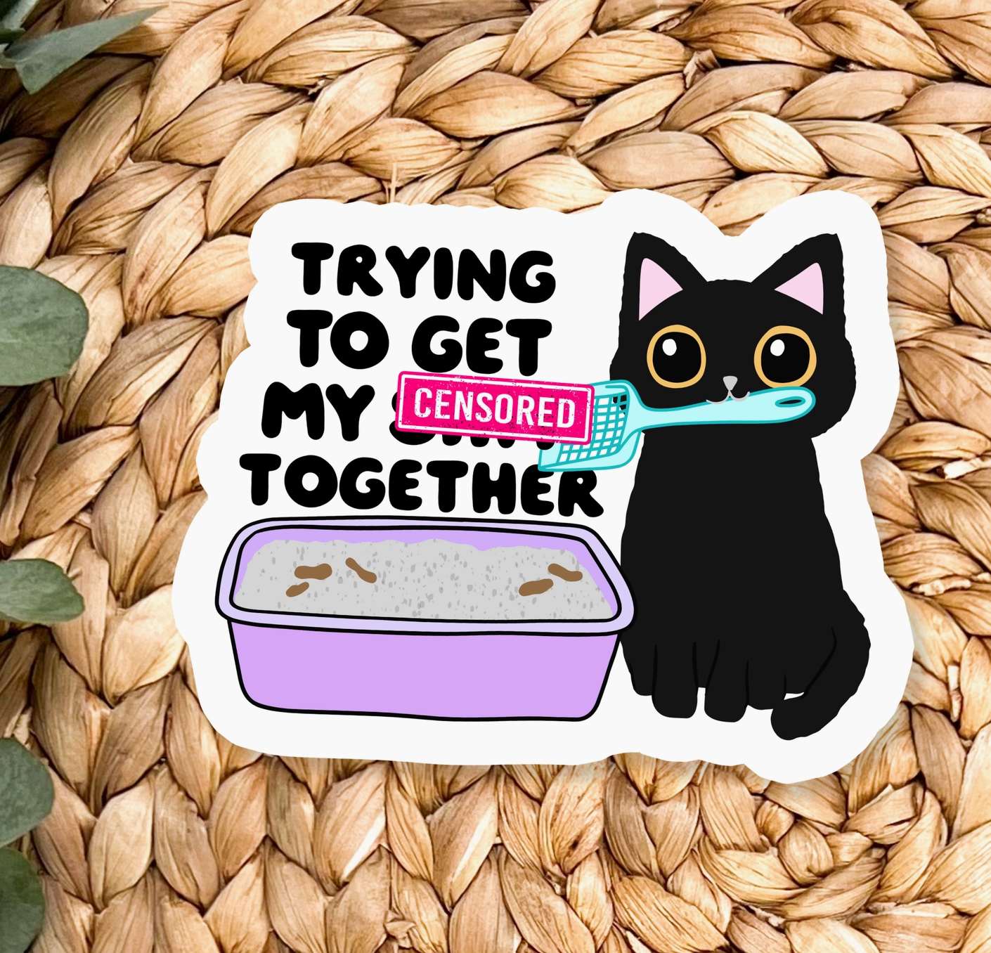 Trying to get my Sh*t together