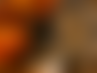 What’s Happening the Rest of November at The Chatty Cat Café 🐾🍂