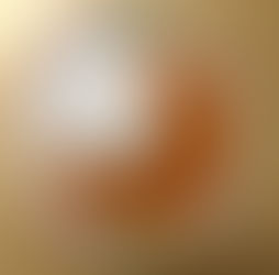 Session 54 / 2026年2月25日