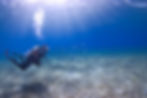 ambient dive1_edited.jpg