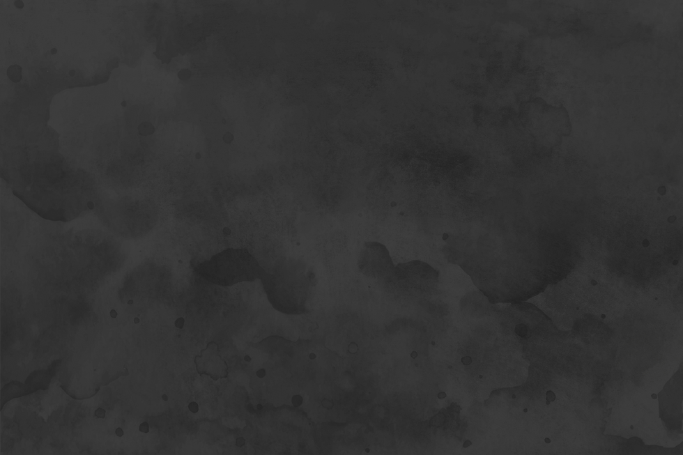 What We See Header.png