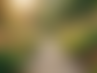 Nurturing Connection with the Seeds of Love