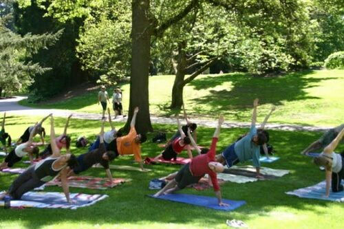 Йога на свежем воздухе в Ботаническом саду