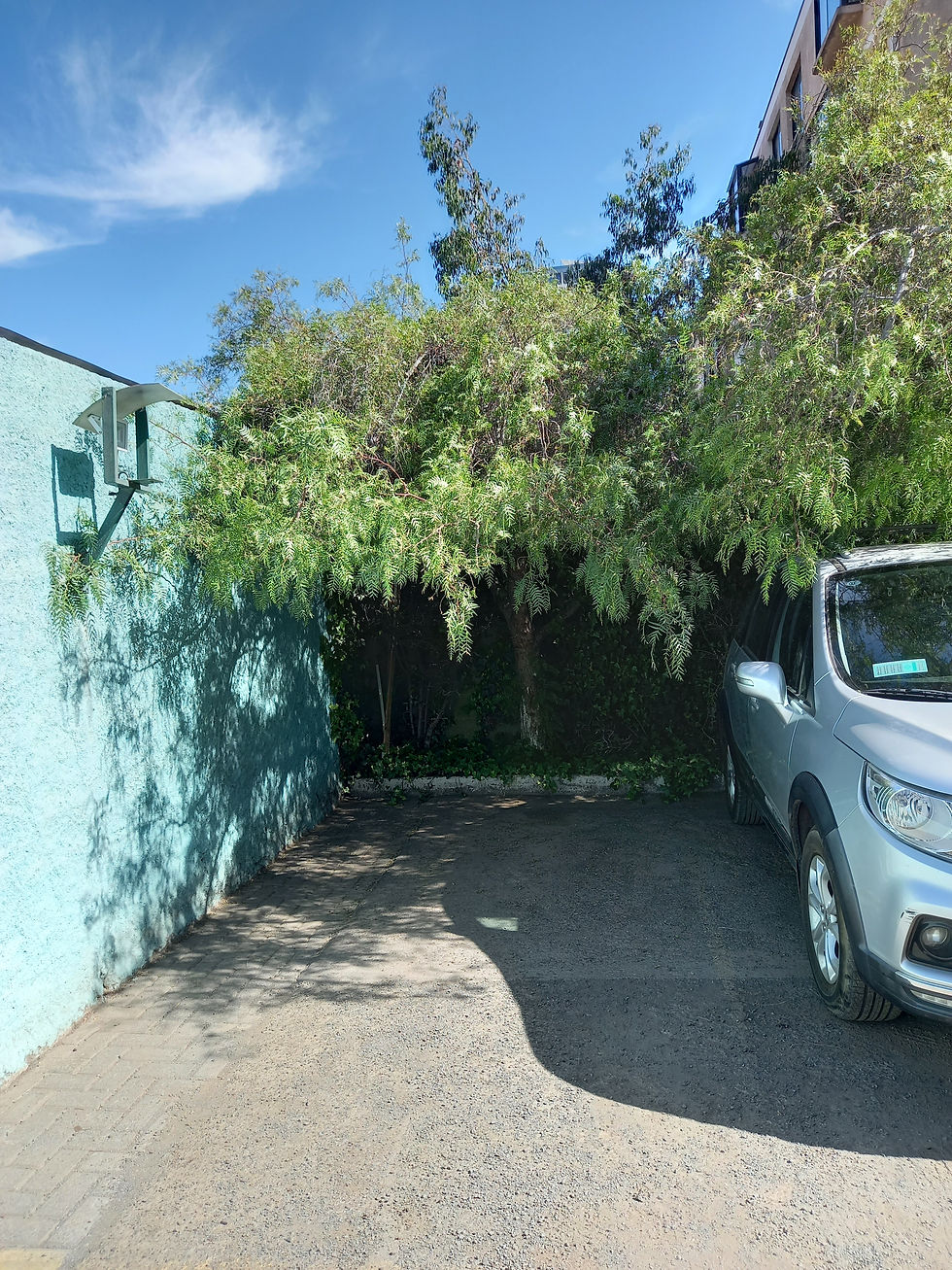 Miniatura: DEPARTAMENTO SAN MIGUEL