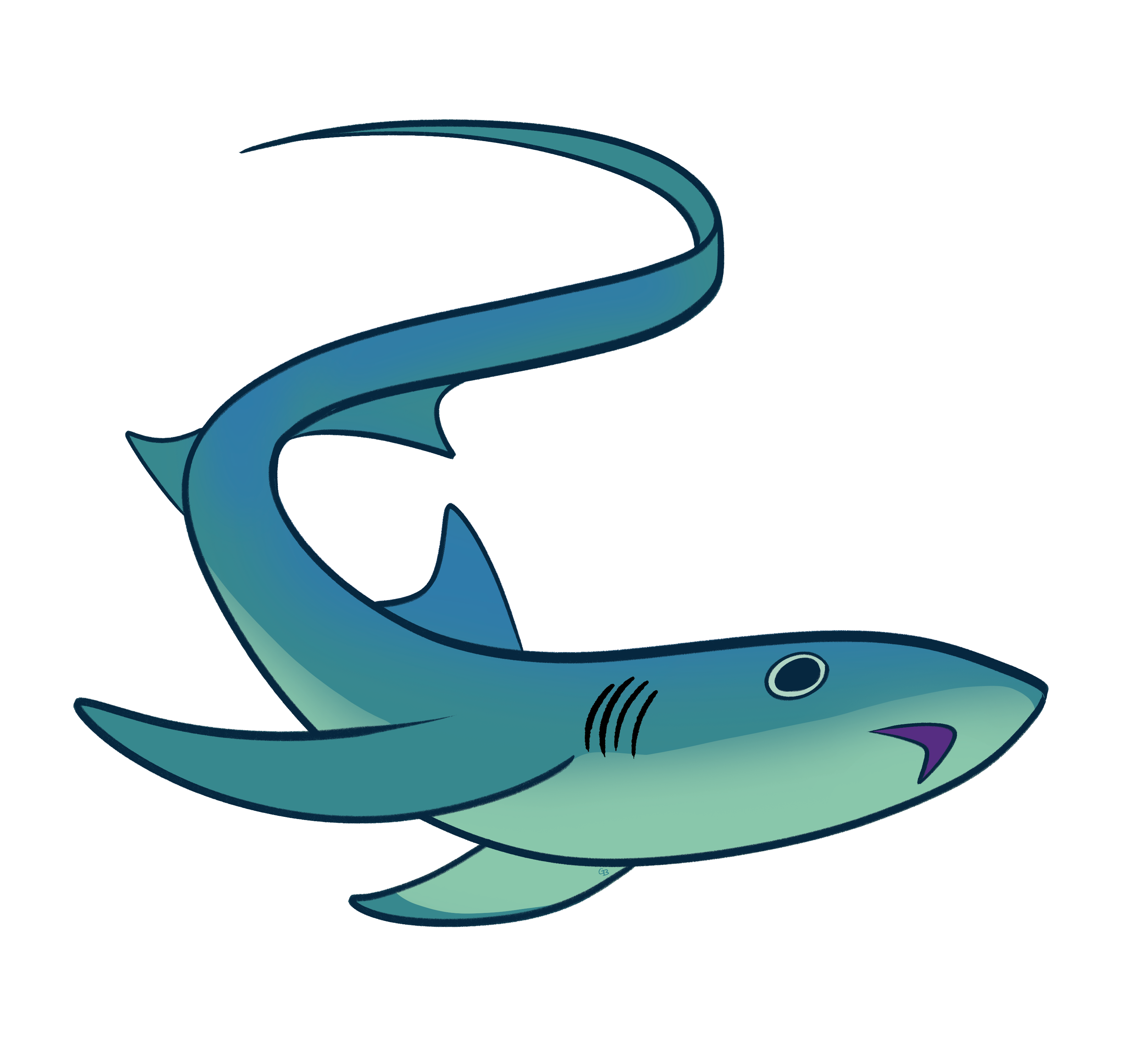 Thresher Shark Sticker