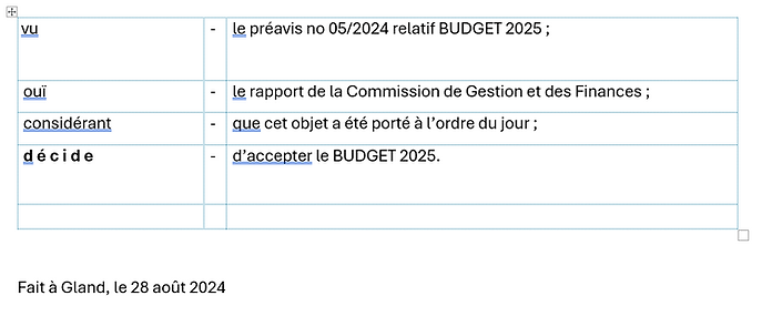 2025_Budget_10. Conclusions.png