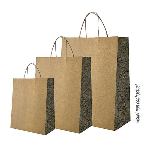 Sac Cabas Musa Bleu T24 - Recycle Brun - 90 g/m2 - Vert - 24 + 11 x 31 cm