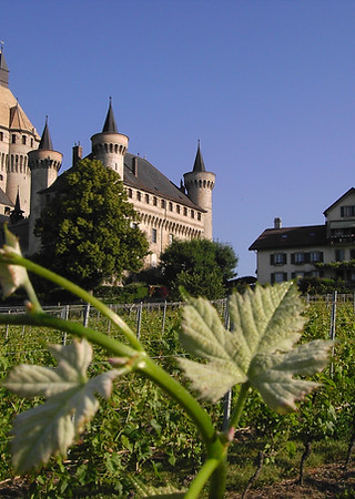 Château-maison-rameau.jpg