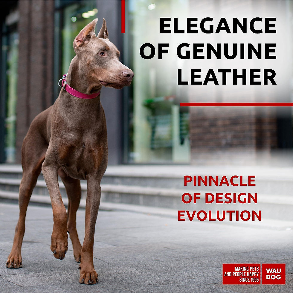 Thumbnail: Pink Long Lasting Leather Dog Collar Adjustable for Medium Dogs 1215 inch Neck