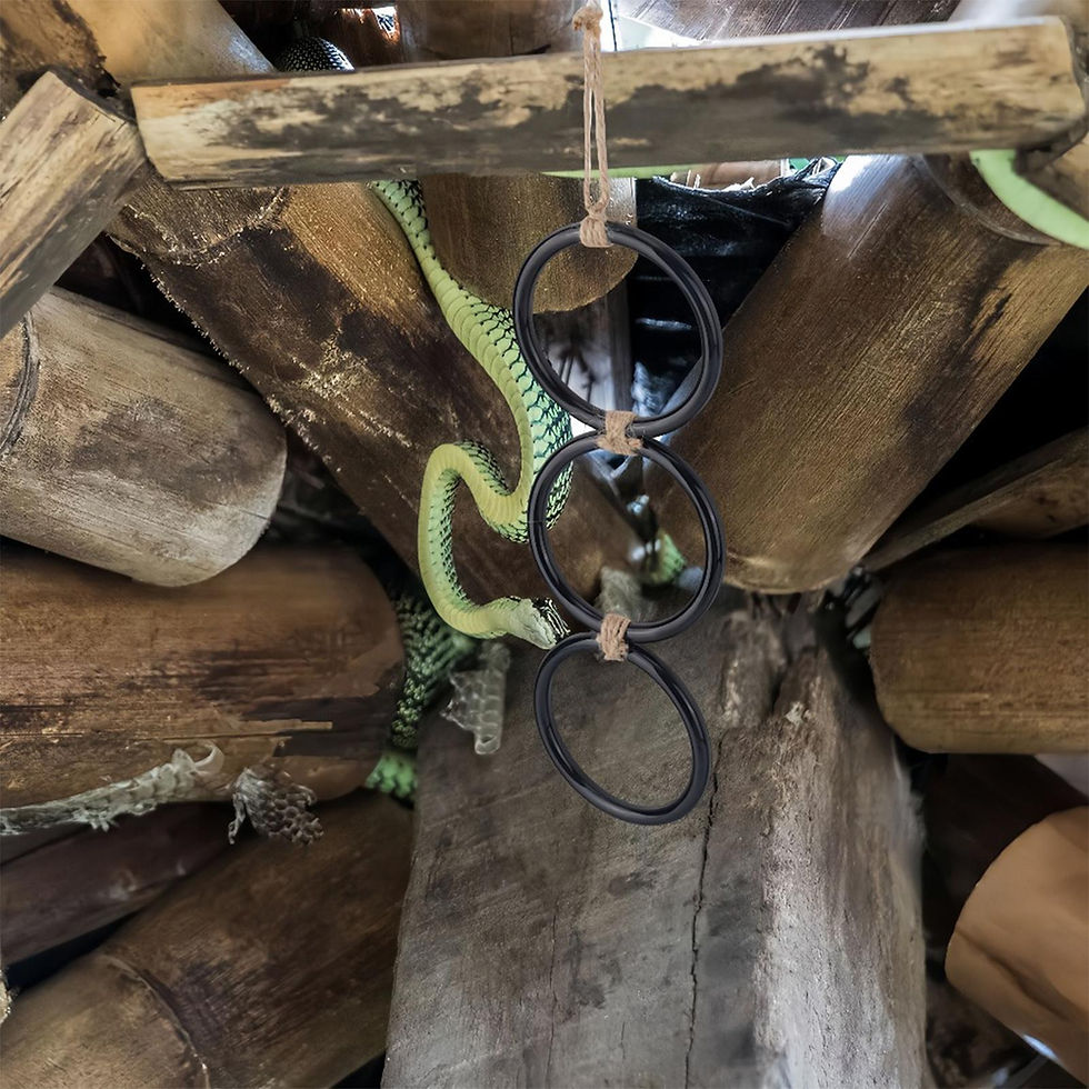 Thumbnail: Snake Tank Accessories Accessories Link Rings Supplies Snake Climbing Toy For Ha