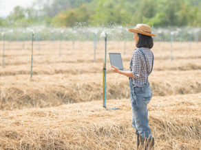 Aplicaciones IoT en la Agricultura