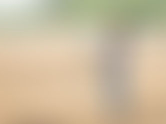 Aplicaciones IoT en la Agricultura